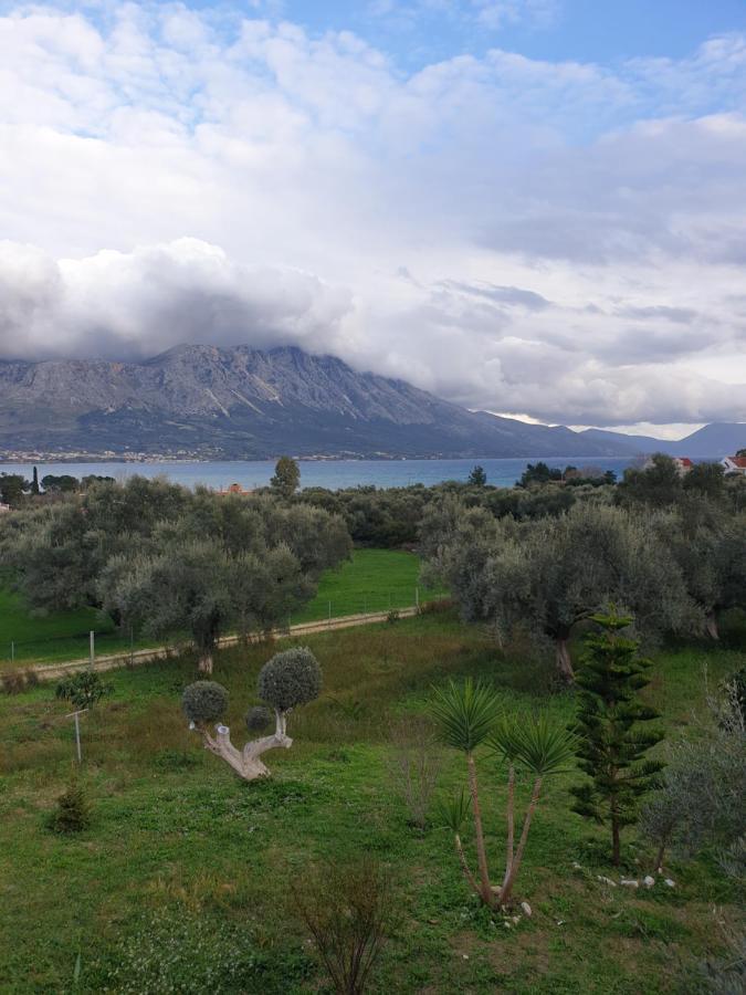 Paleros Pogonia Panorama Apartment מראה חיצוני תמונה